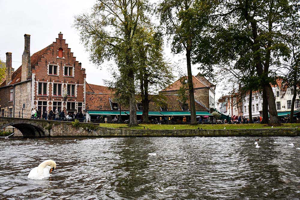 Cosa fare a Bruges: un tour in barca alla scoperta dei canali